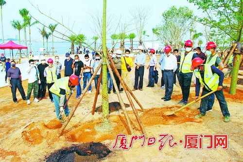 廈門 綠化企業(yè)信用越好 招投標(biāo)機會越多